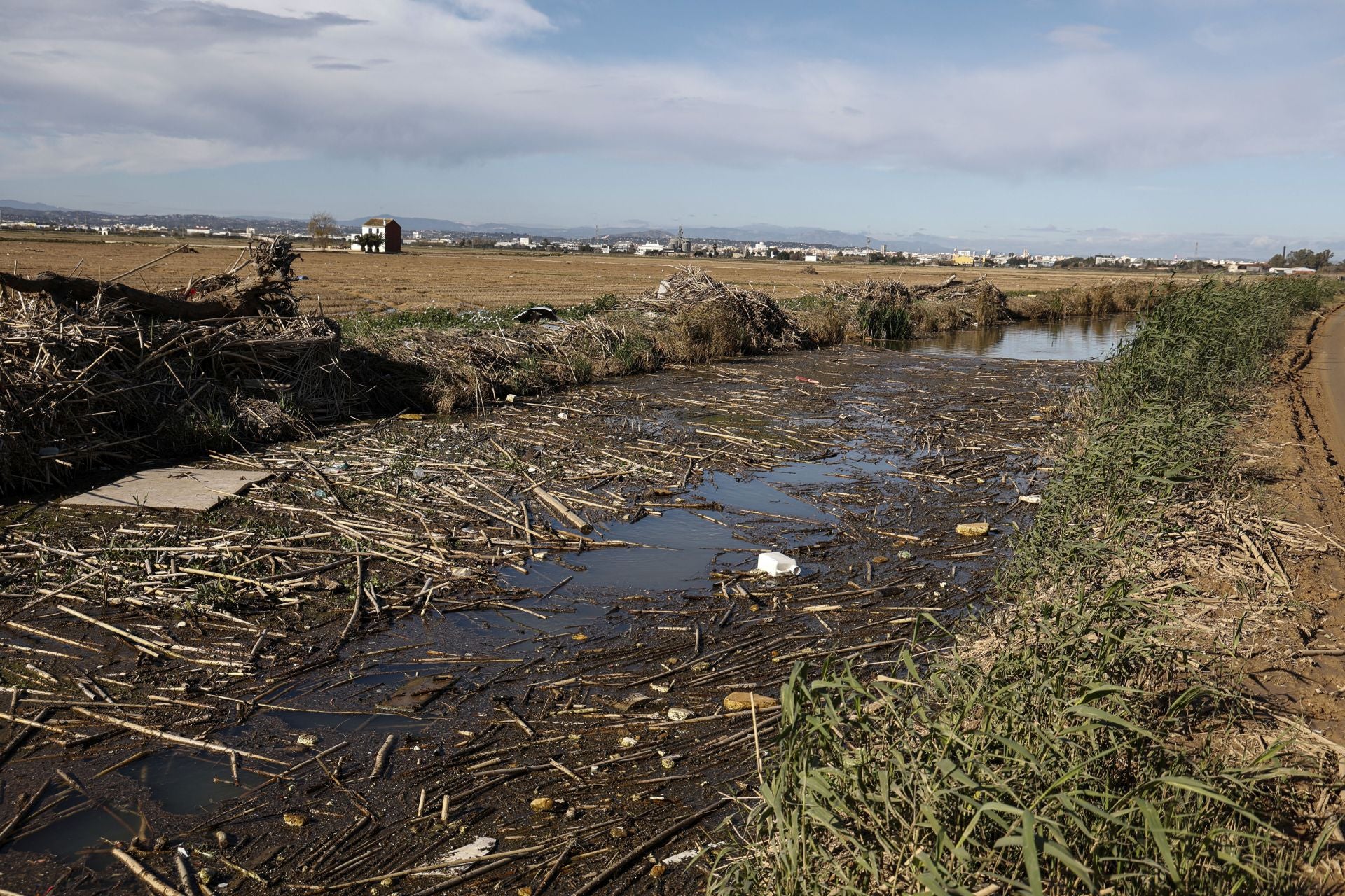 Estado del Puerto de Catarroja, parque natural de la Albufera, tras casi 3 meses del paso de la DANA