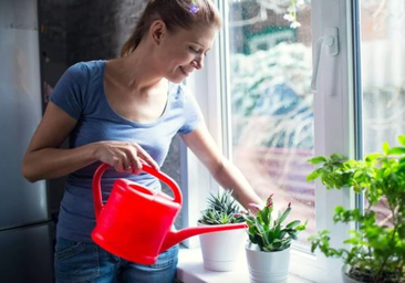 El abono casero milagroso para revivir y hacer crecer tus plantas