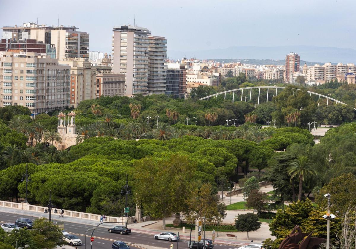 Un tramo del jardín del Turia, uno de los símbolos de Valencia.