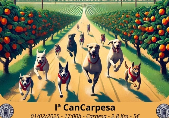 Cartel de la carrera que tendrá lugar este sábado.