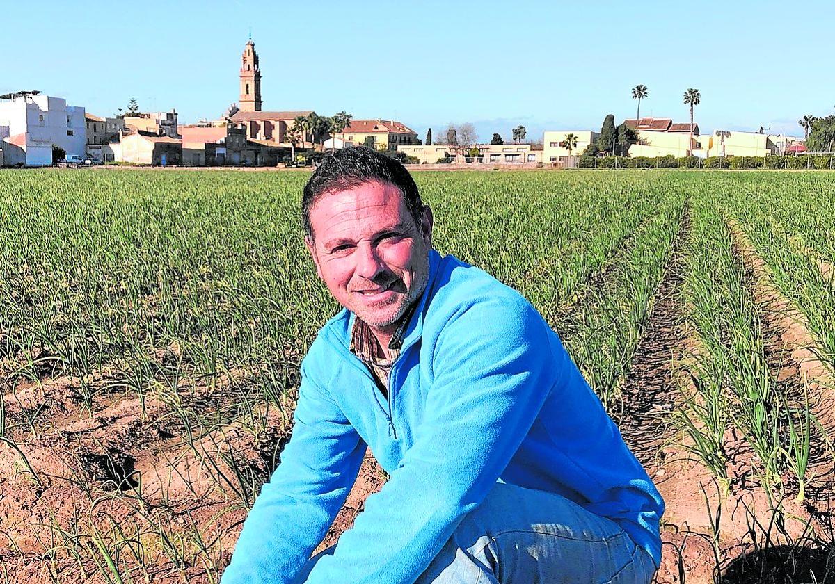 Cultivo. Fernando Traver, en un campo de cebollas, en Les Cases de Bárcena. Al fondo, el campanario y la iglesia de Bonrepós y parte del pueblo.