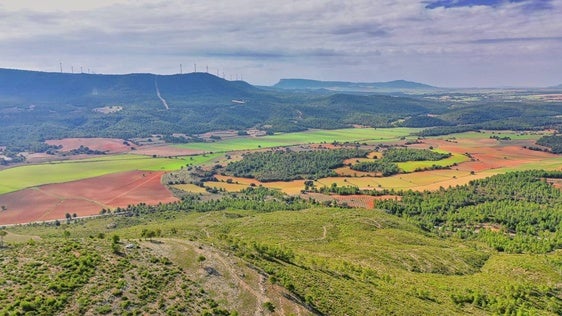 Vega de Ayora donde se ubicarán las plantas.