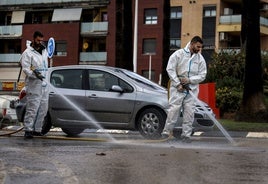 Tareas de limpieza en el acceso a Massanassa.