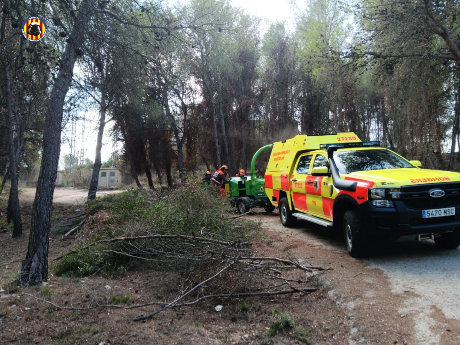 Las brigadas forestales durante las labores de silvicultura.