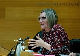 María José Salvador, durante una comparecencia en Les Corts.