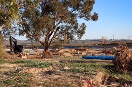 Obras junto al río en l'Alcúdia.