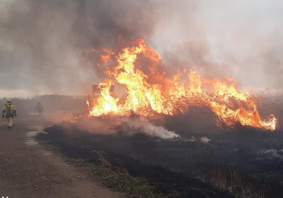 Incendio declarado en la Marjal dels Moros este miércoles.