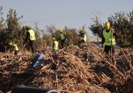 Agentes de la Guardia Civil durante la búsqueda de cuerpos de la dana.