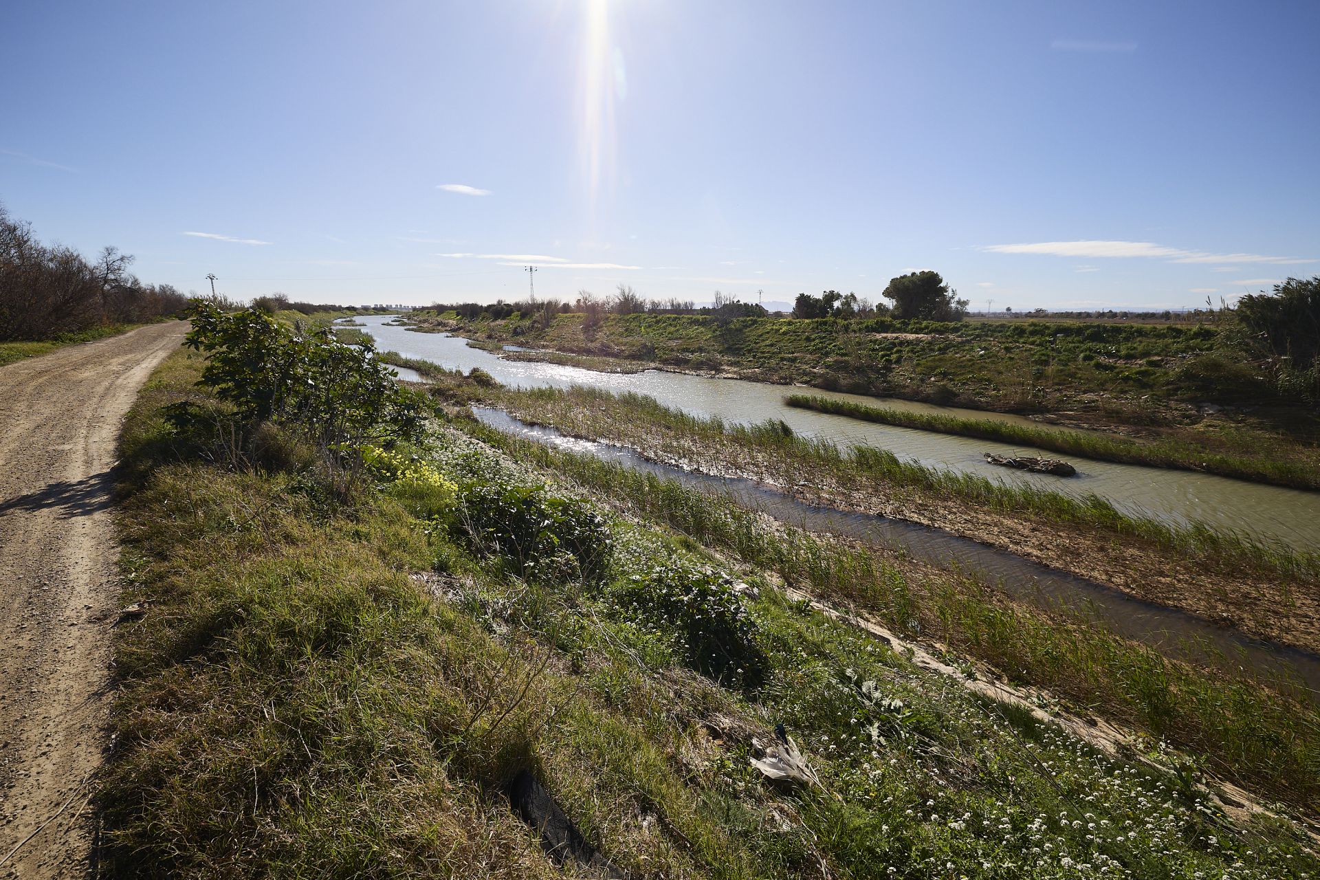 Las heridas del parque natural de la Albufera tras la DANA