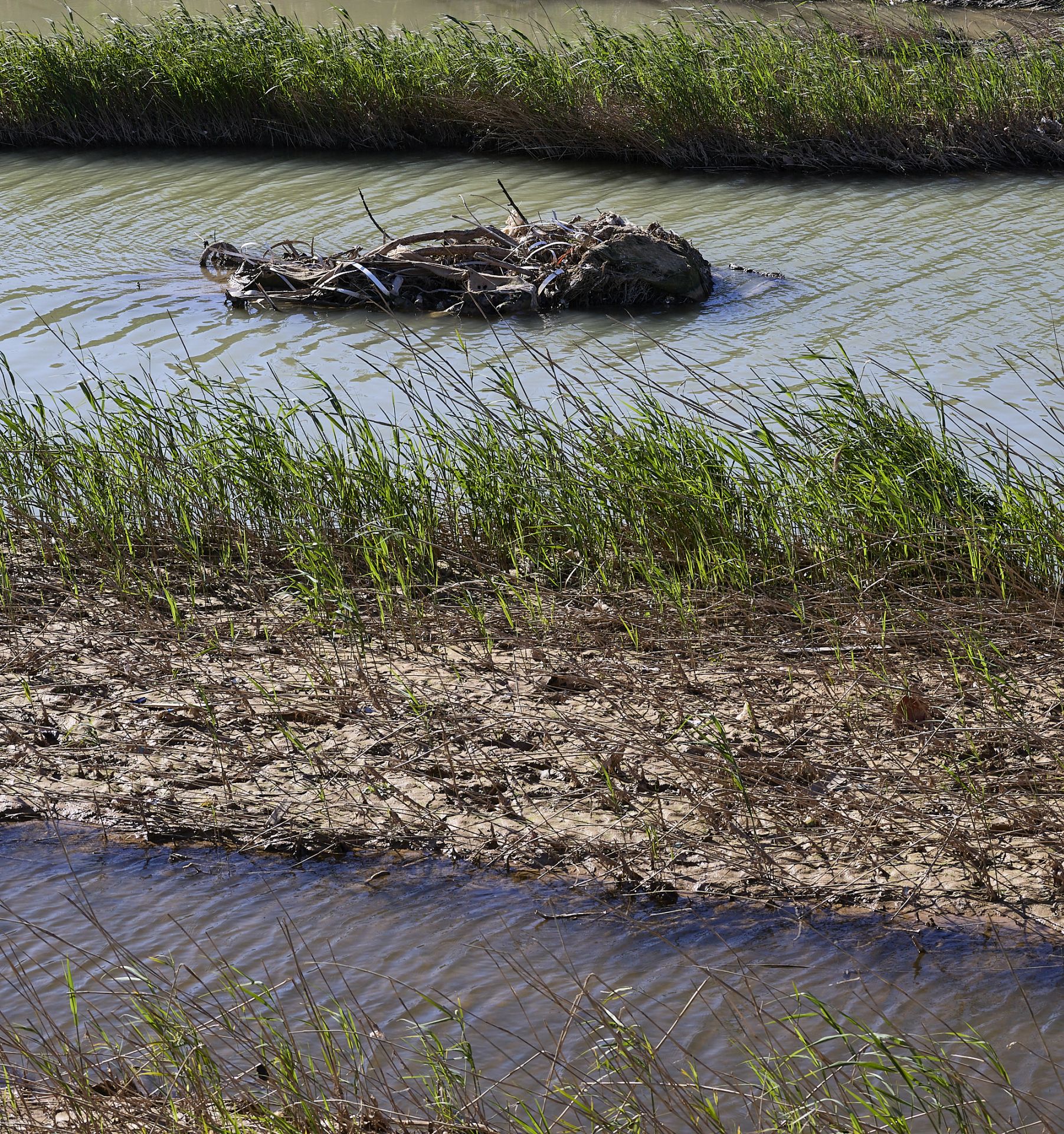 Las heridas del parque natural de la Albufera tras la DANA