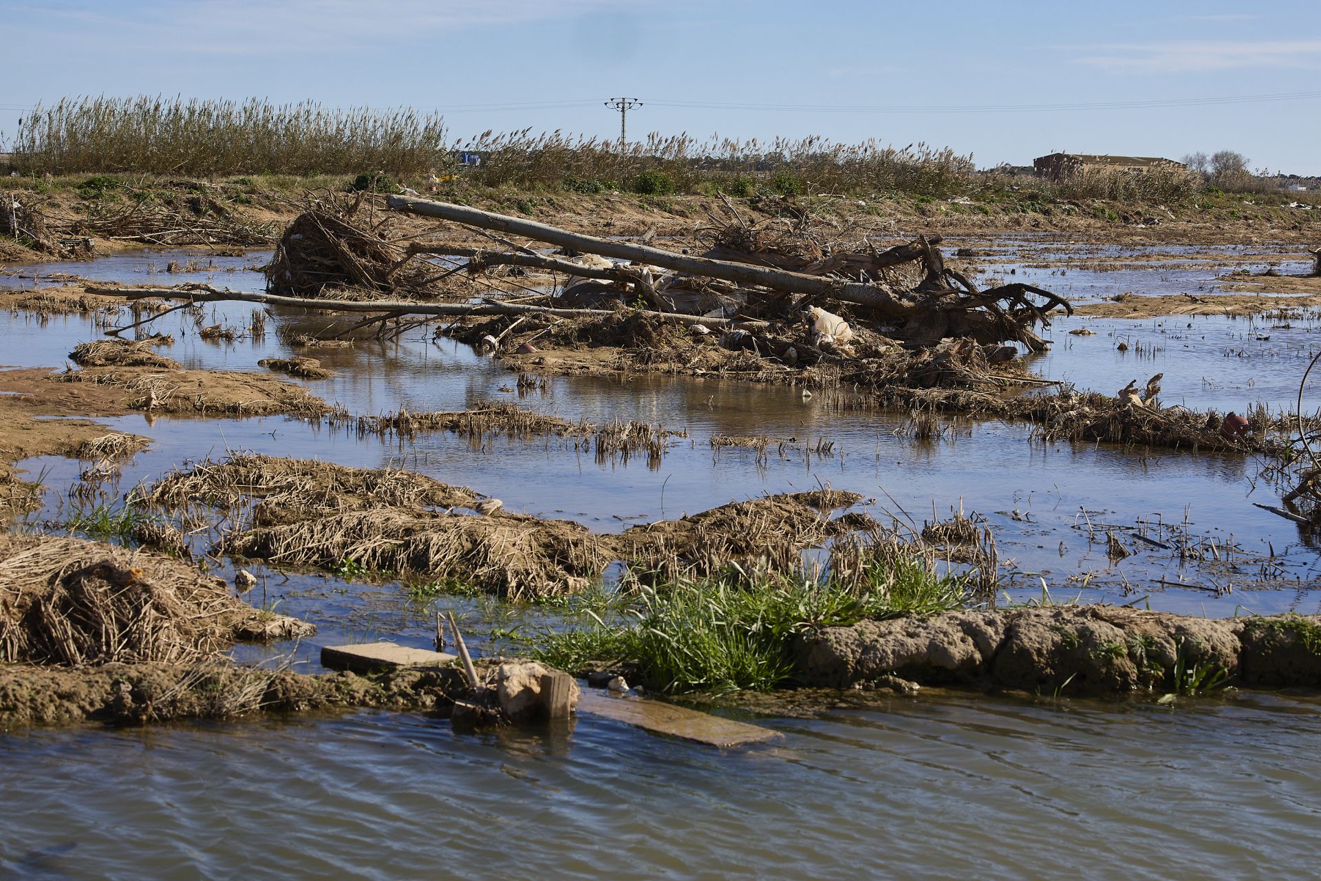 Las heridas del parque natural de la Albufera tras la DANA