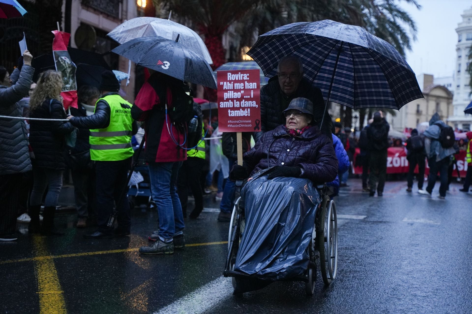 FOTOS | Manifestación en Valencia contra la gestión de la dana y para exigir la dimisión de Mazón
