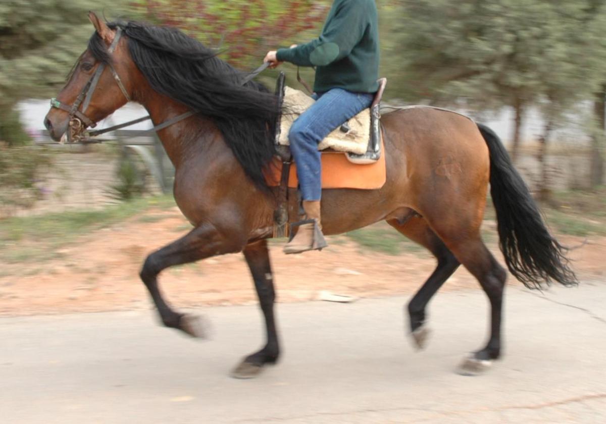 Un hombre da un paseo a caballo por Siete Aguas, en una imagen de archivo.