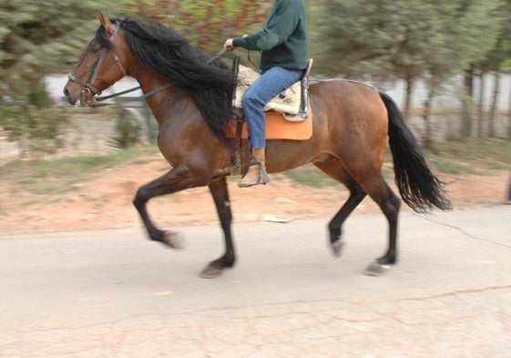 Un hombre da un paseo a caballo por Siete Aguas, en una imagen de archivo.