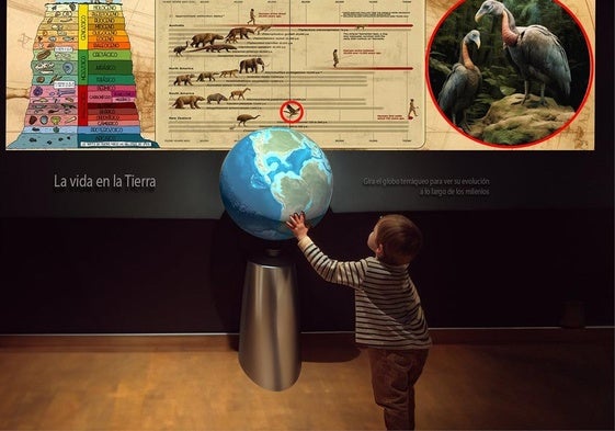 Un niño en el Museo de Ciencias Naturales de Valencia.