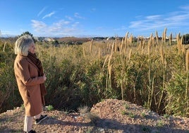 La alcaldesa de Bétera, María Elia Verdevío, en la zona de limpieza del barranco.