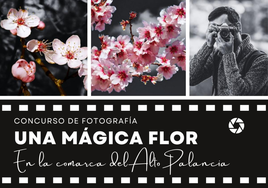 Cartel del concurso de fotografía.