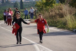 La primera de las rutas senderistas organizadas se celebra en El Genovés.