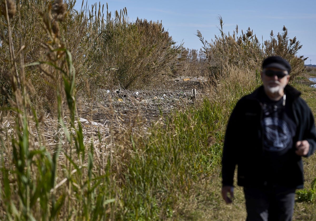 Josep Chaques, junto al canal del puerto de Silla bloqueado por las cañas.