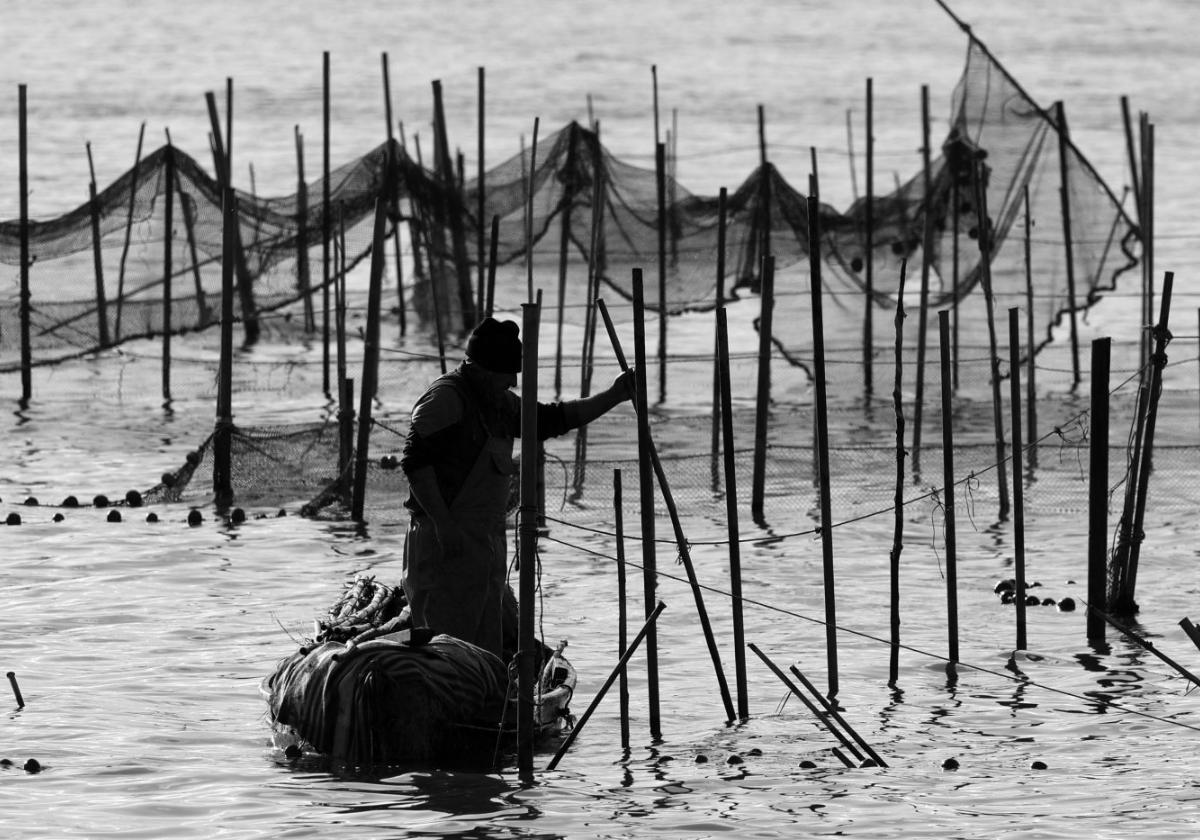 Un futuro sostenible para la pesca y la acuicultura