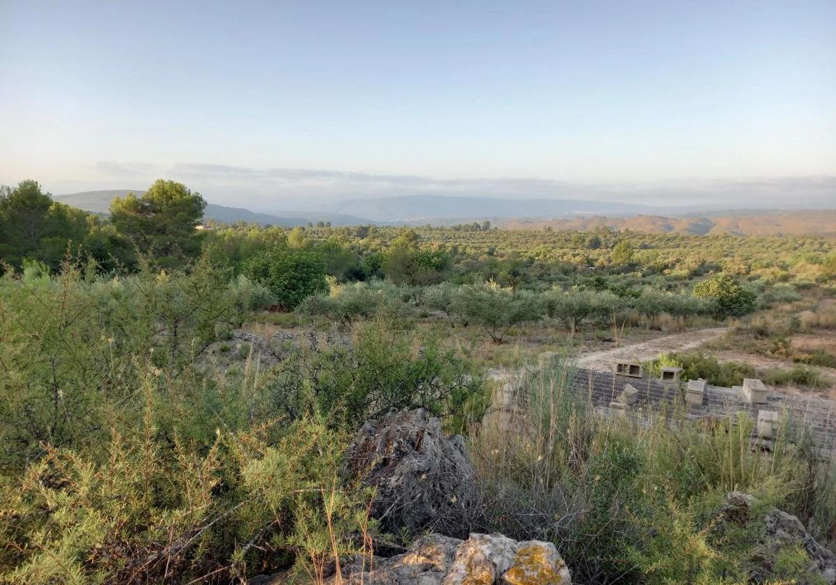 Zona rural de Sumacàrcer.