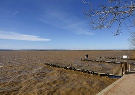 El lago de la Albufera.