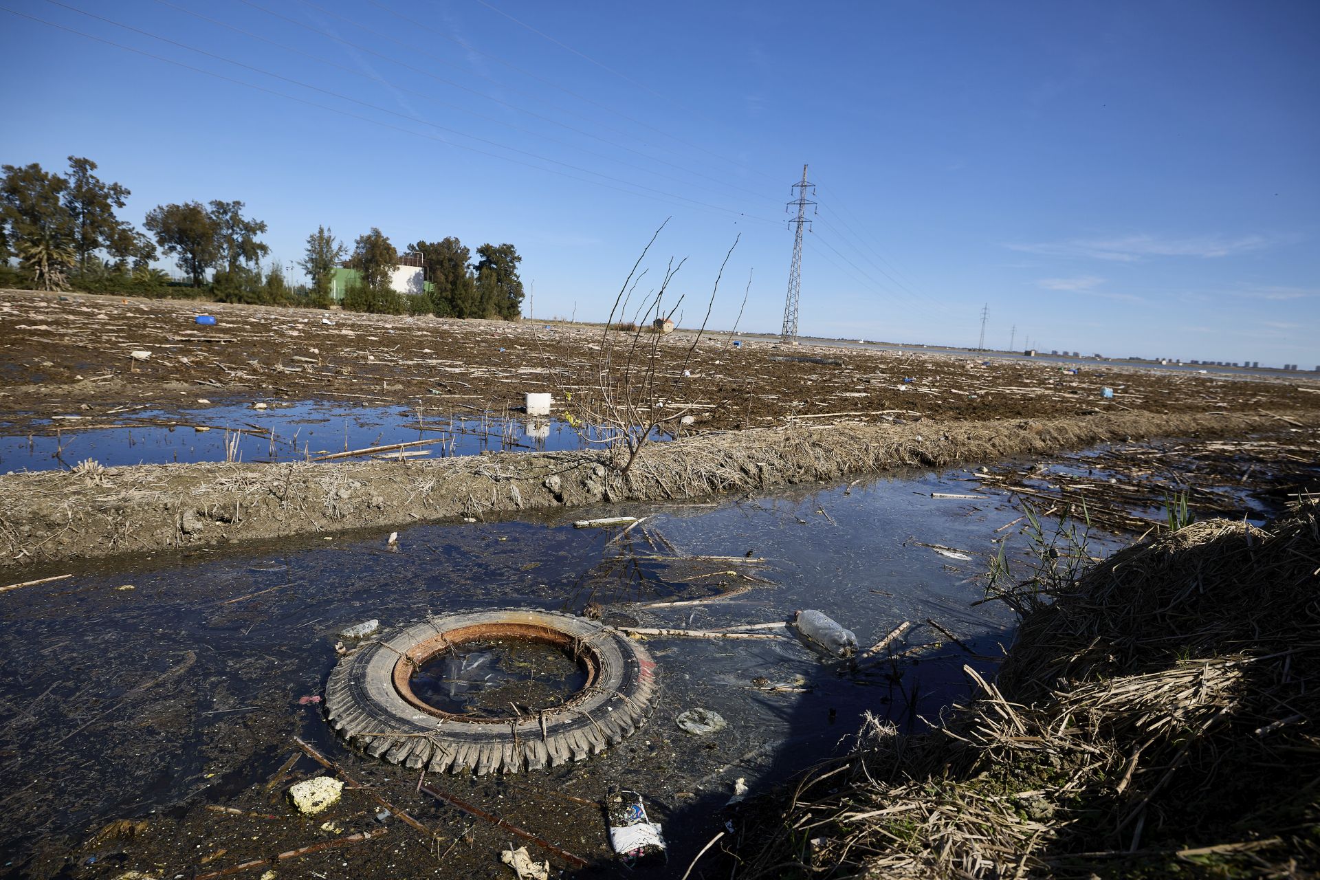 FOTOS | Los canales de la Albufera siguen bloqueados por la basura y la acumulación de cañas