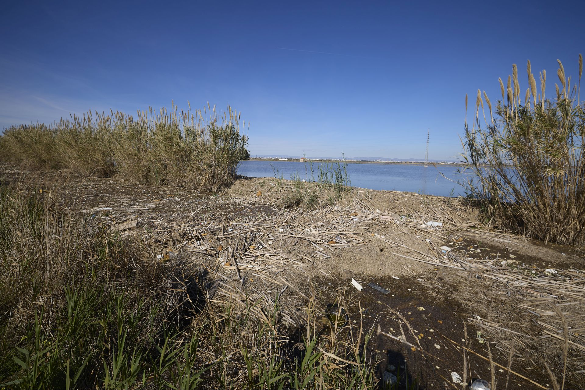 FOTOS | Los canales de la Albufera siguen bloqueados por la basura y la acumulación de cañas