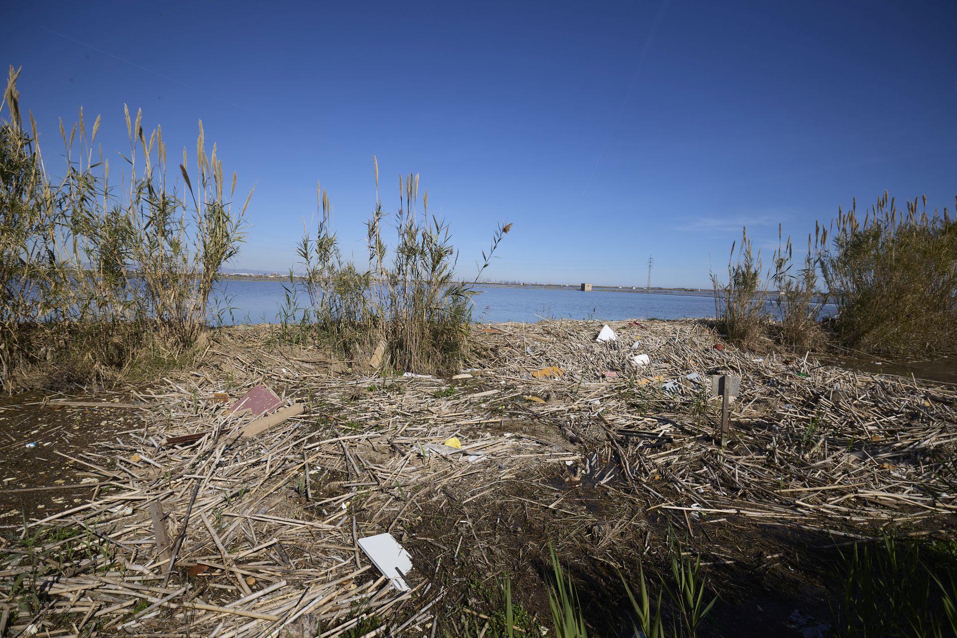 FOTOS | Los canales de la Albufera siguen bloqueados por la basura y la acumulación de cañas