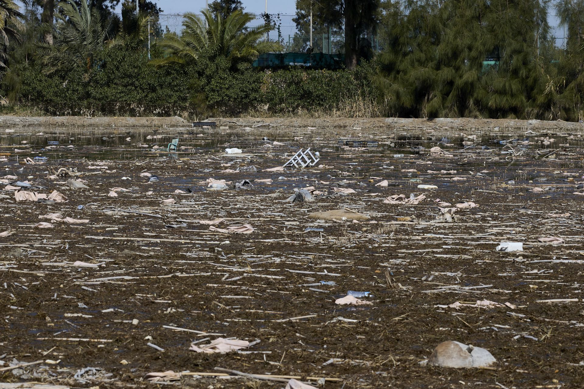 FOTOS | Los canales de la Albufera siguen bloqueados por la basura y la acumulación de cañas