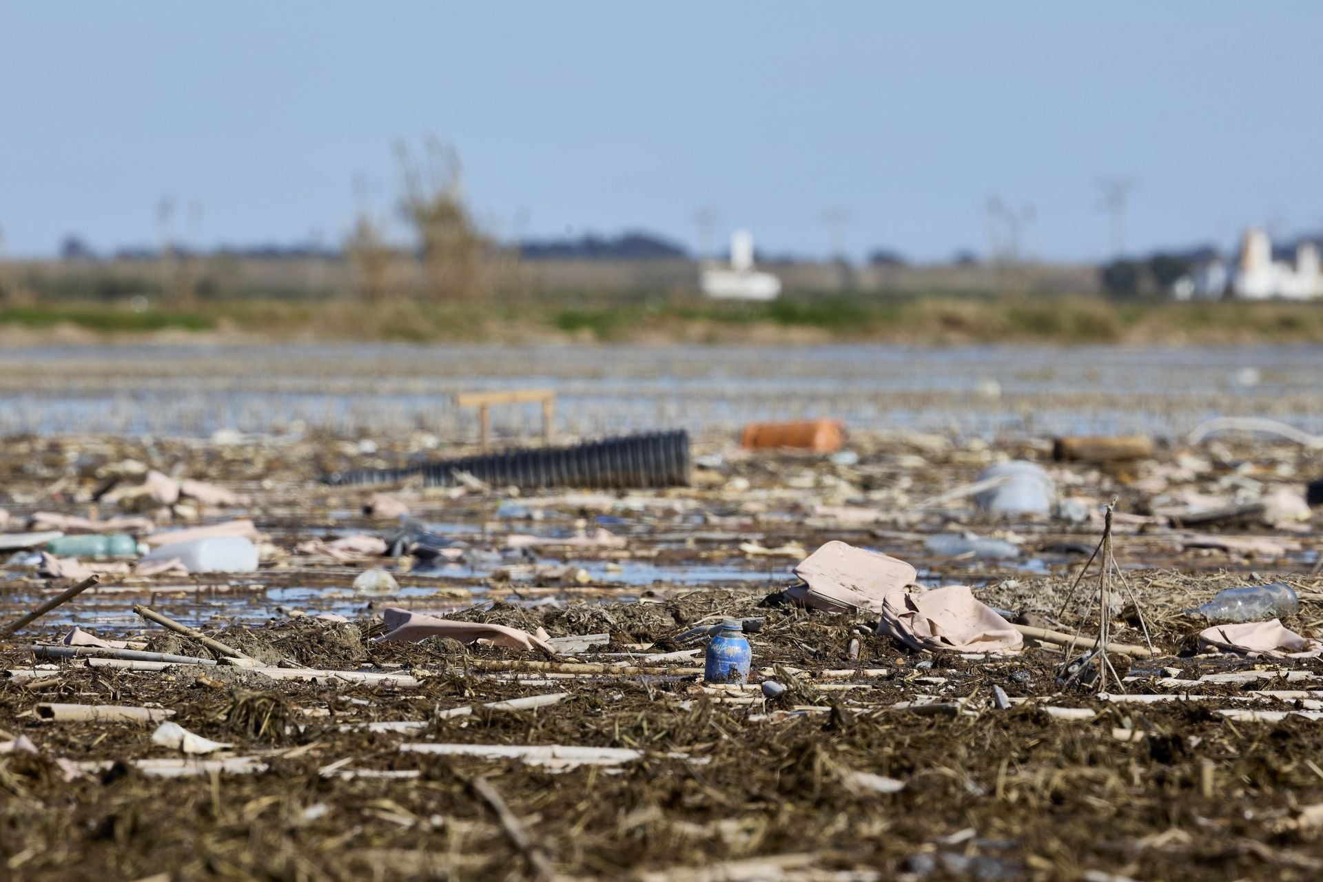 FOTOS | Los canales de la Albufera siguen bloqueados por la basura y la acumulación de cañas