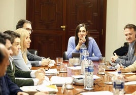 Reunión de la comisión de investigación del fraude de la EMT.