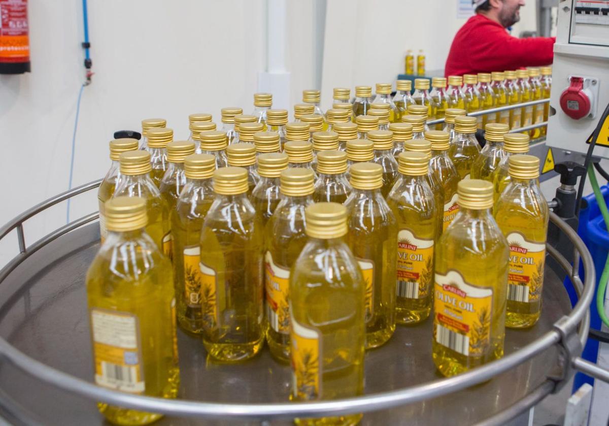 Botellas de aceite de oliva en una almazara. Imagen de archivo.