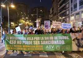 Manifestación en Valencia.