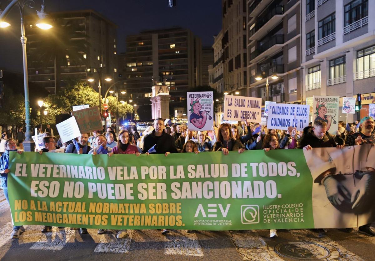 Manifestación en Valencia.