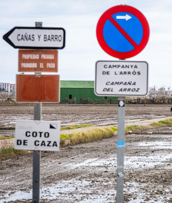 Imagen secundaria 2 - El Palmar | Vecinos que echan raíces entre tradiciones y arrozales