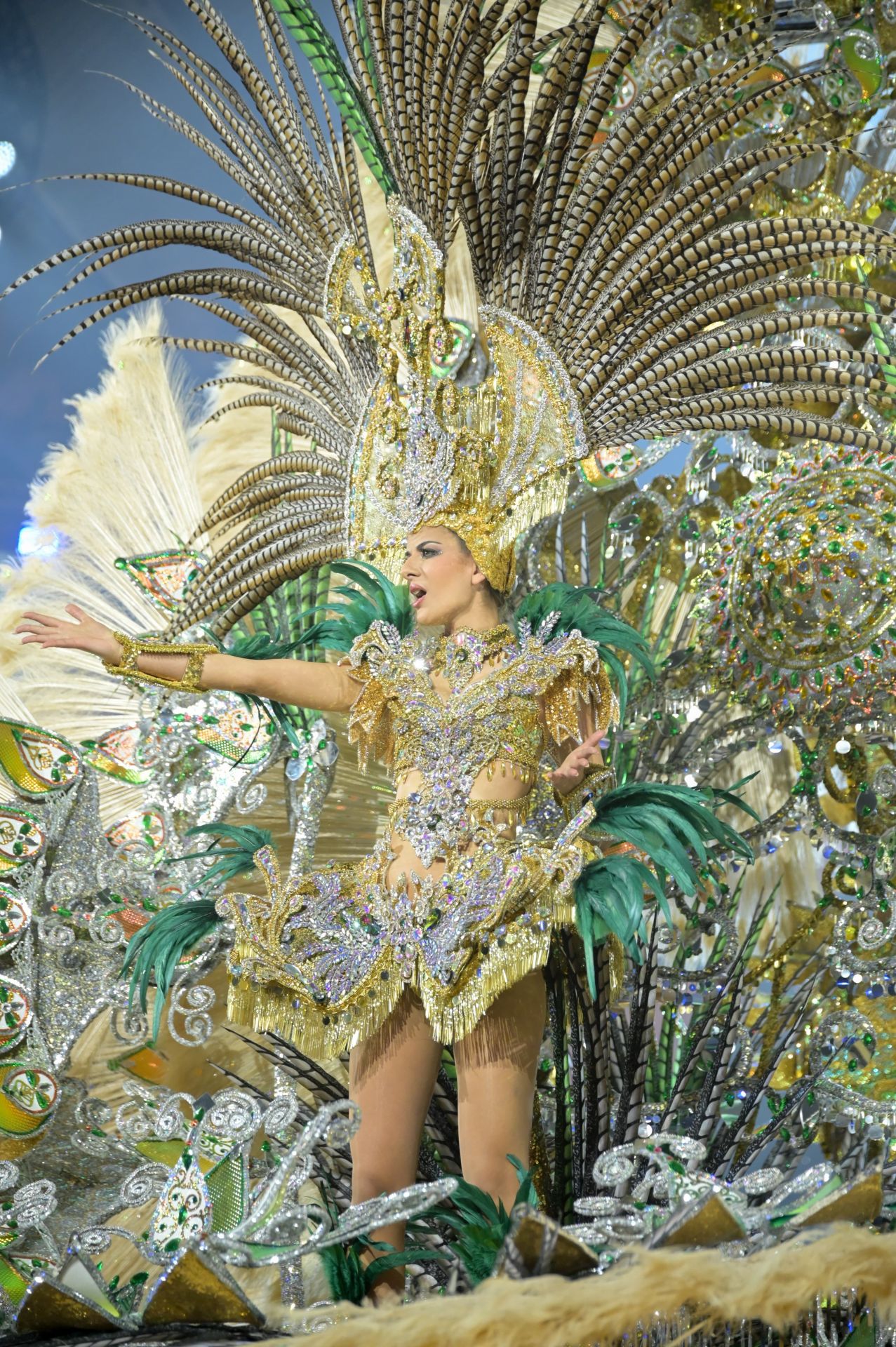 Santa Cruz de Tenerife ya tiene a su Reina del Carnaval 2025