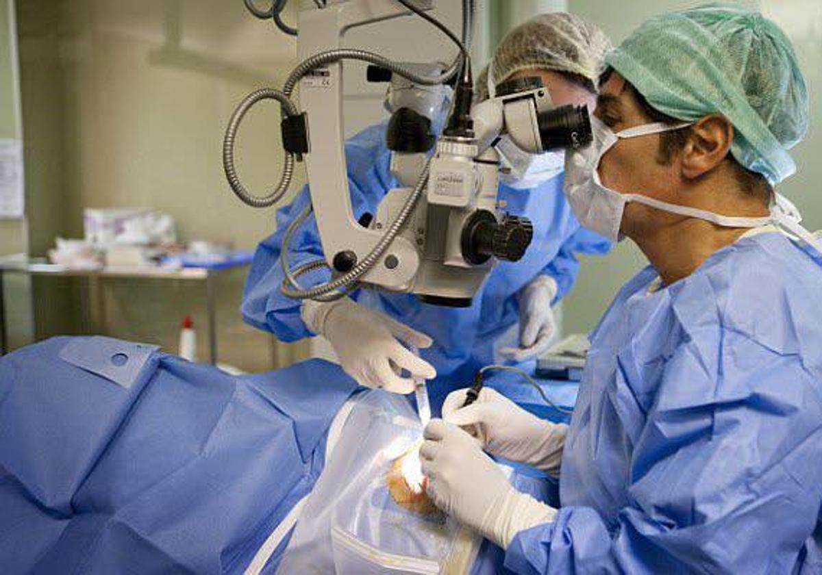 Un oftalmólogo realiza una intervención ocular a un paciente, ayudado por una enfermera, en una imagen de archivo.