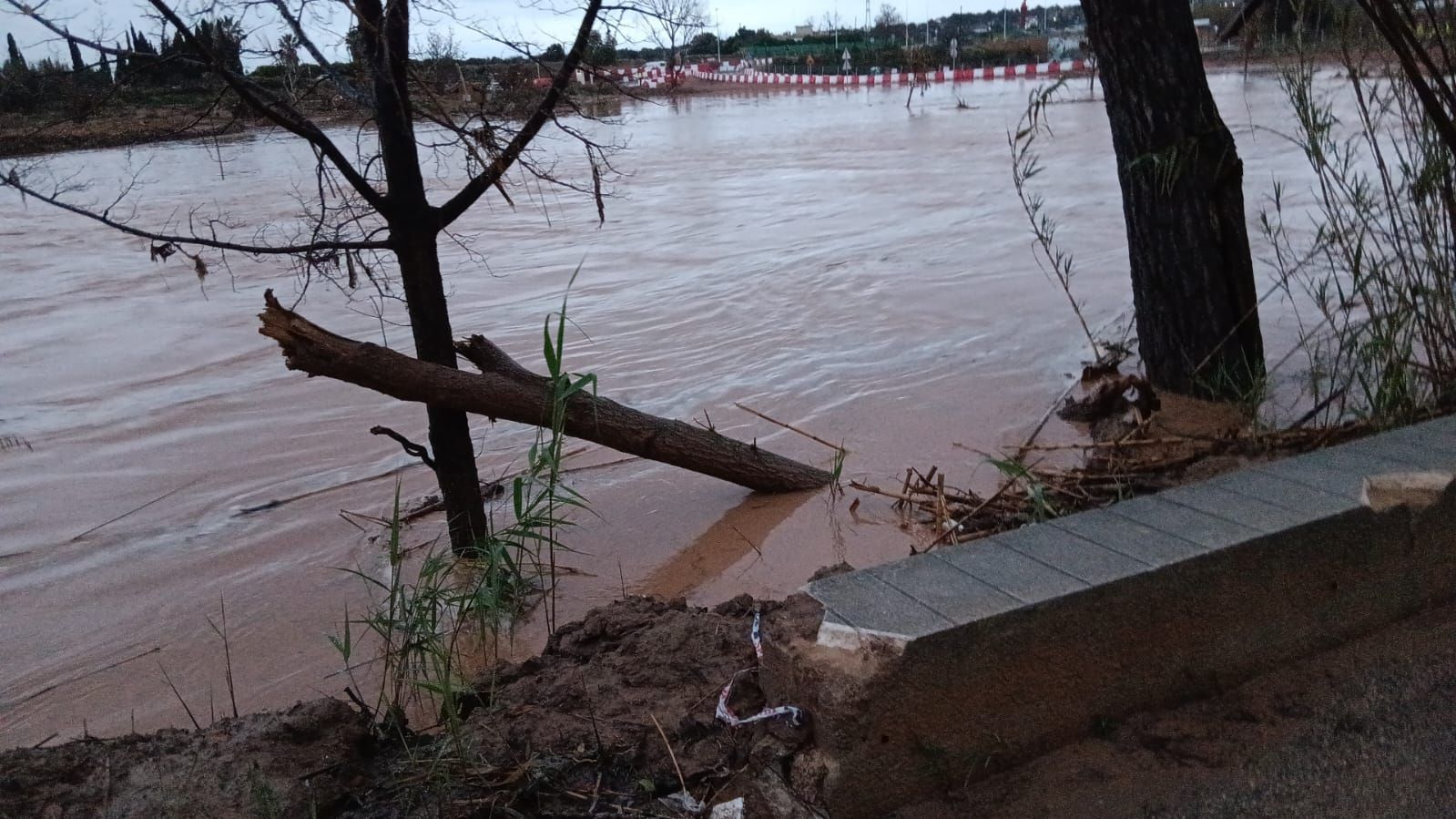 El río Túria a su paso por Ribarroja