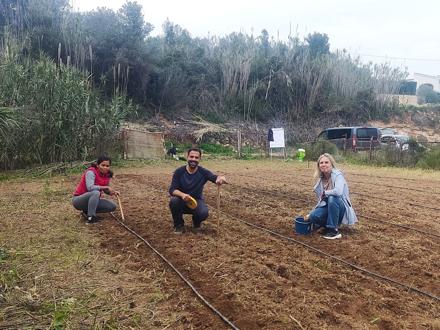 Huerto donde plantan la 'fava poblera'.