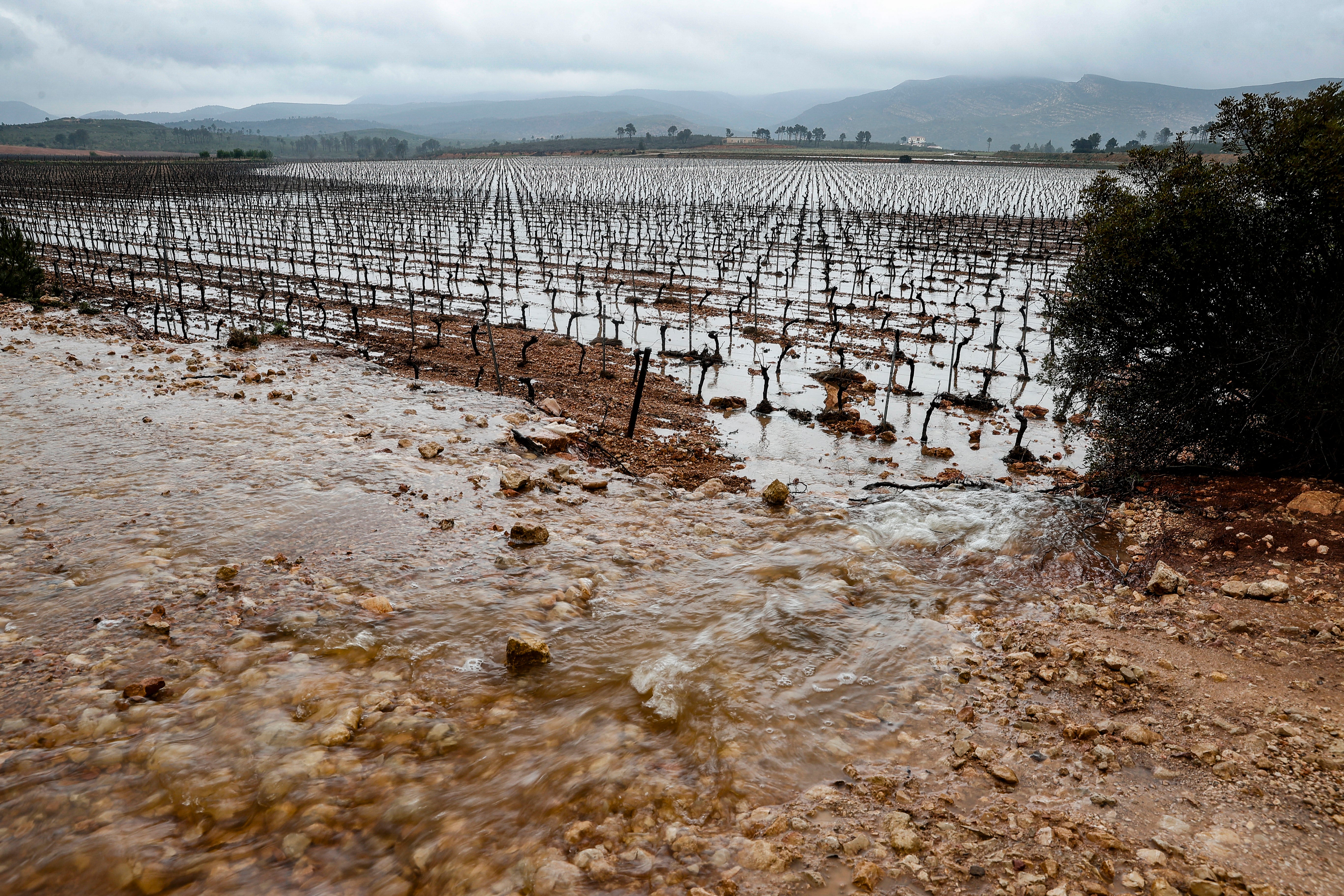 Un campo anegado por el agua en este episodio de lluvias.