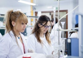 Estudiantes del Grado de Química.