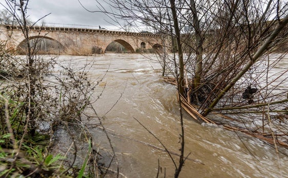 Crecida del río Henares en la provincia de Guadalajara.