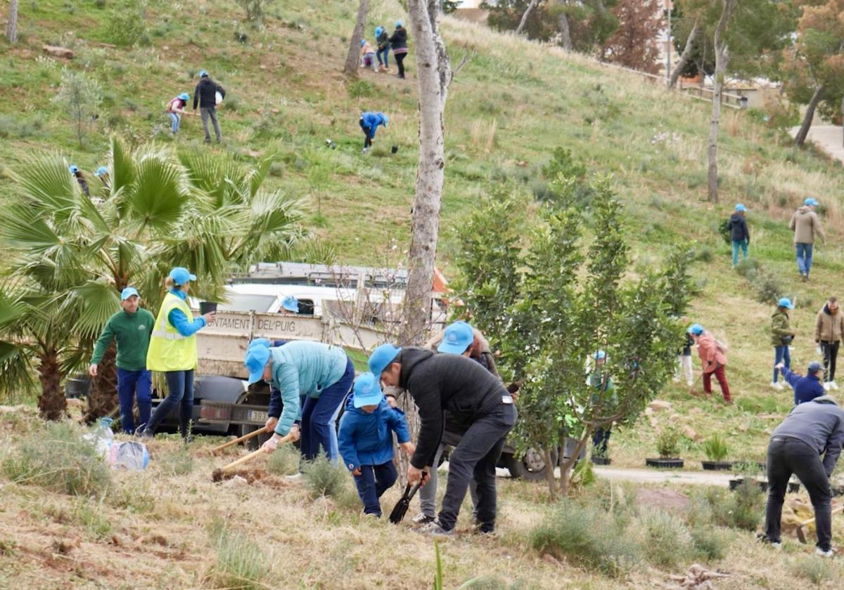 Jornada de reforestación.