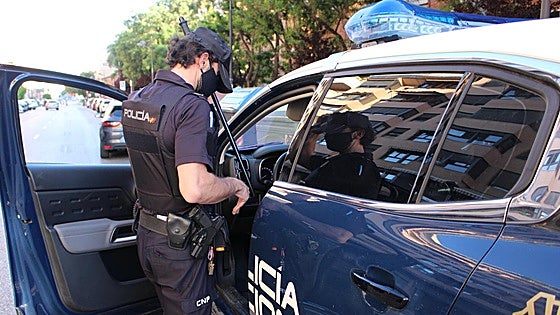 El clan multidelitos: 22 detenidos por tráfico de drogas, blanqueo de capitales y posesión de 112 gallos de pelea