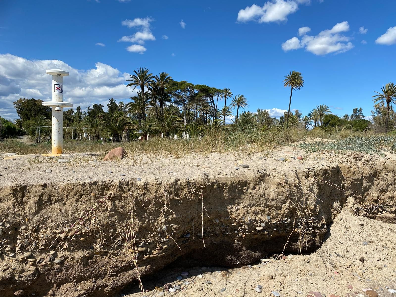 La plataforma cívica en defensa de las playas de Sagunto y Canet seguirá con las movilizaciones