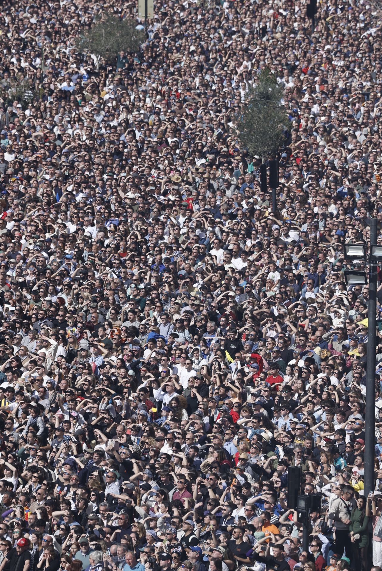 FOTOS | Así ha sido la mascletà del sábado 15 de marzo de 2025