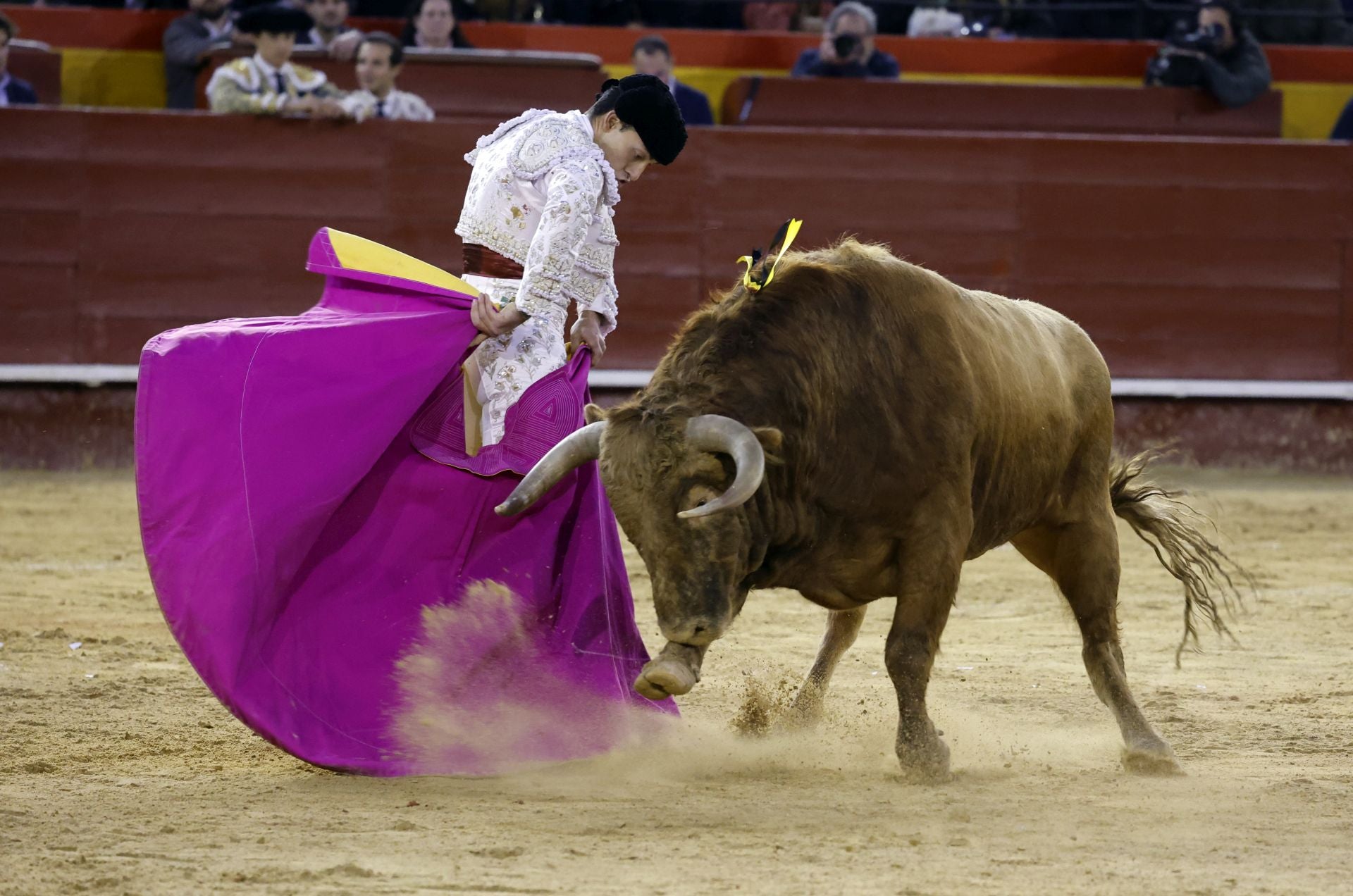 FOTOS | Así ha sido la segunda corrida de la Feria de Fallas 2025: Roca Rey, Talavante y Alejandro Chicharro