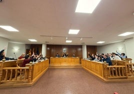 Pleno extraordinario en el que se ha aprobado la medida.
