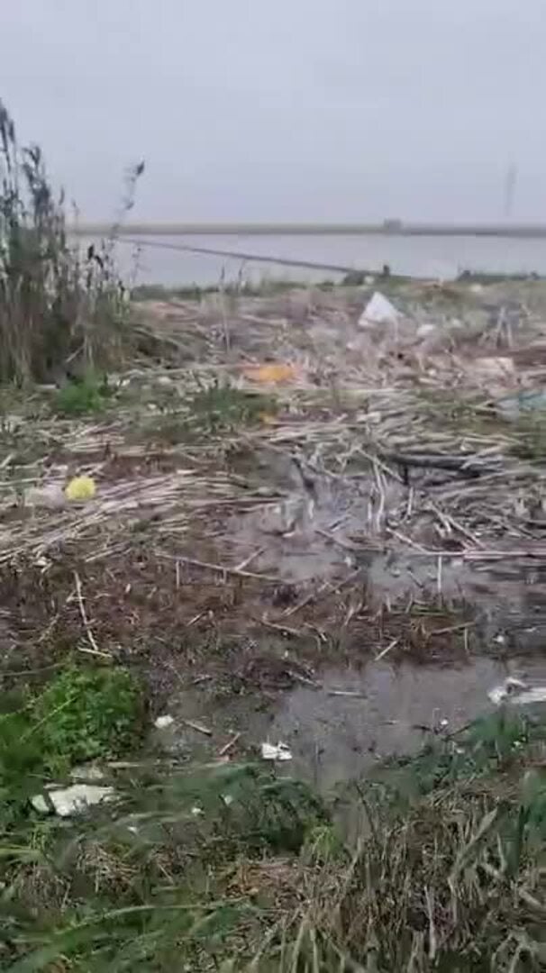 Las lluvias estancan el canal del Puerto de Silla con las cañas acumuladas